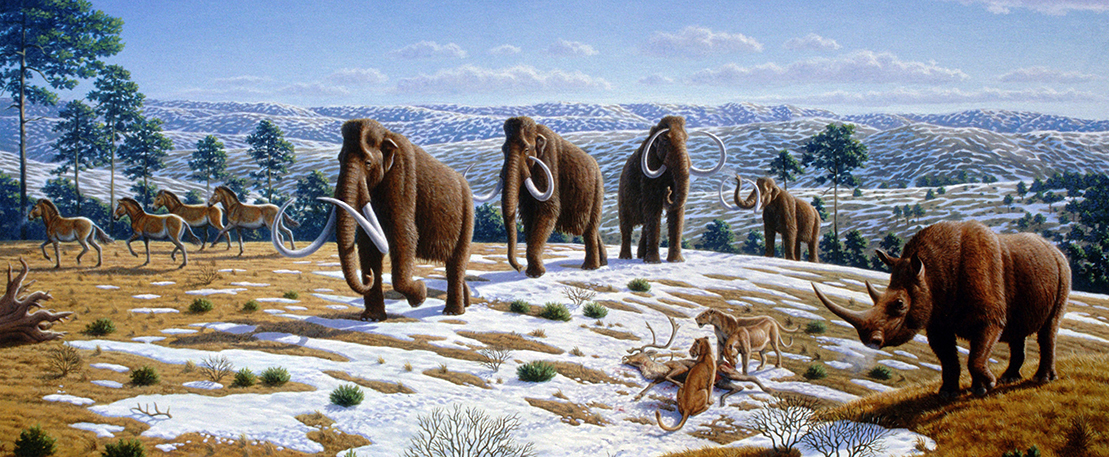 第四纪哺乳动物生态复原图1.jpg