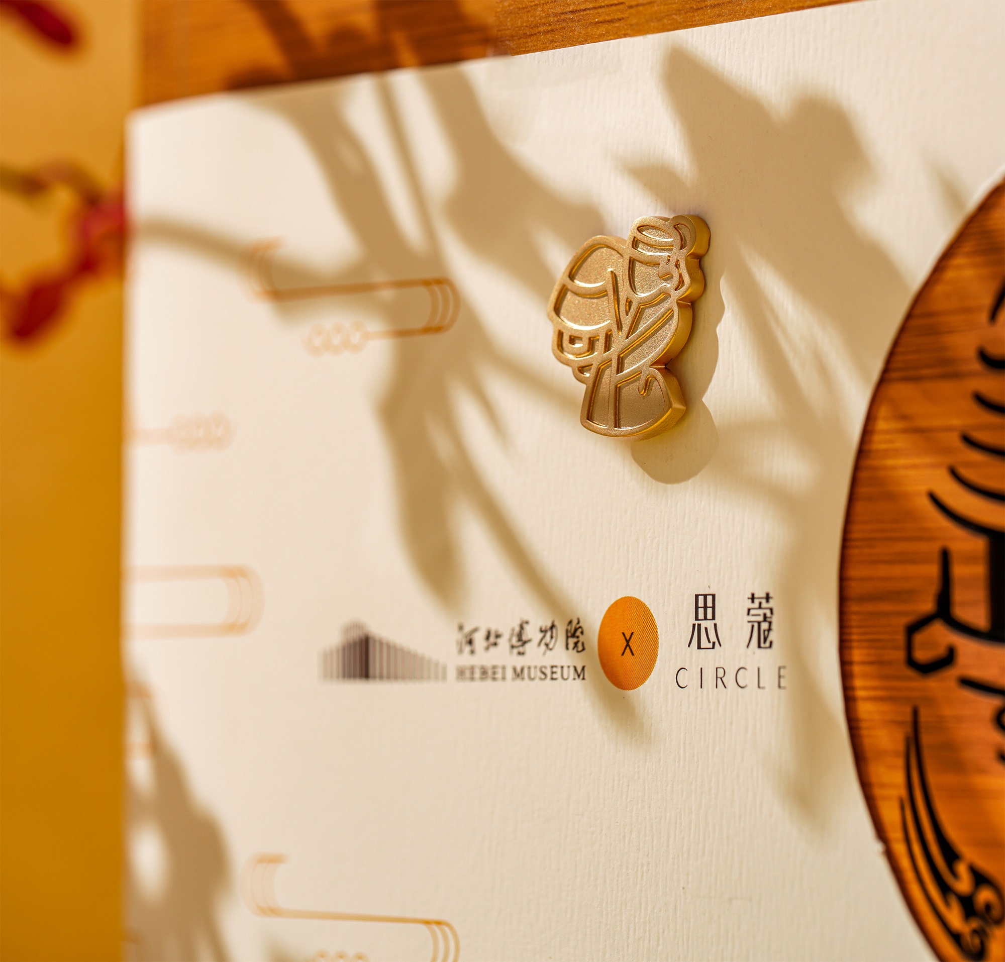 图片6_副本.jpg