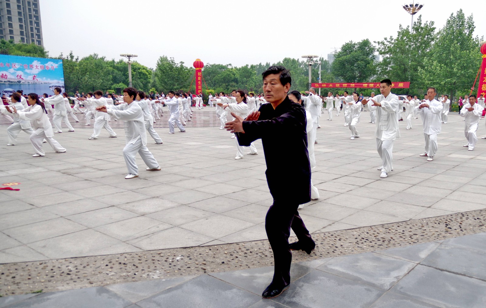 杨氏太极拳(1).jpg