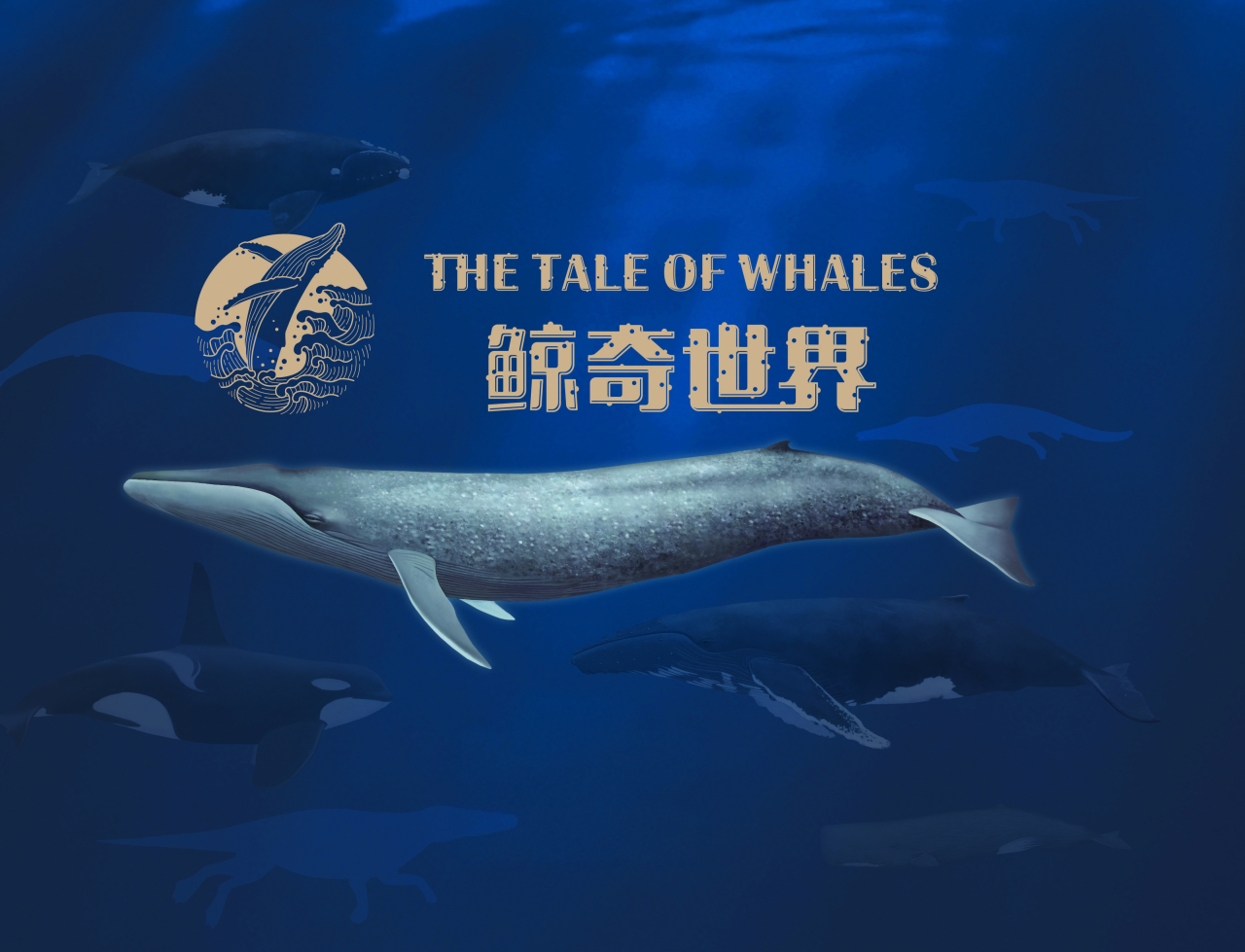 IMG_3229.png